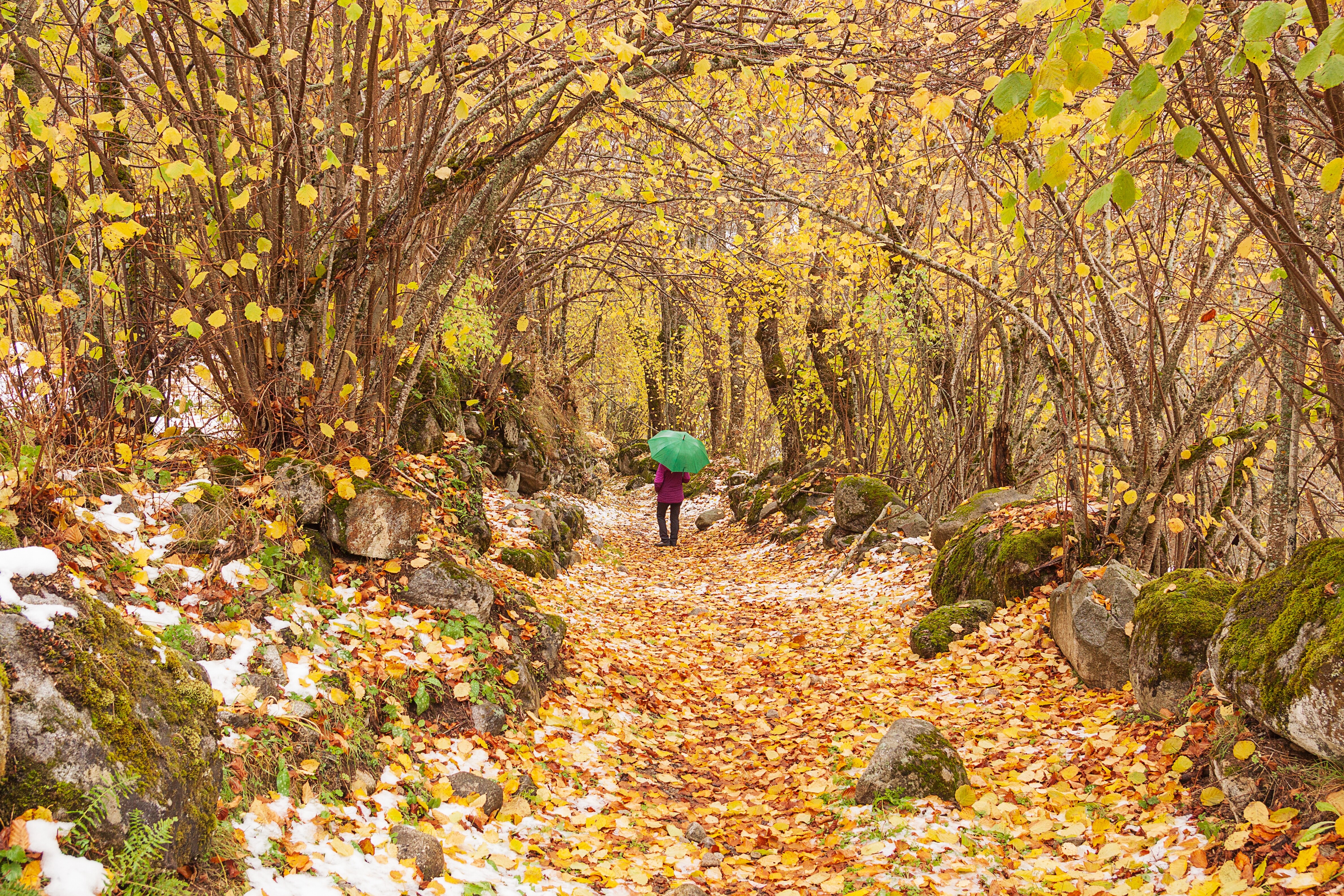 Doğa Yürüyüşlerinde Giyilmesi Gereken Yazlık Outdoor Kıyafetler