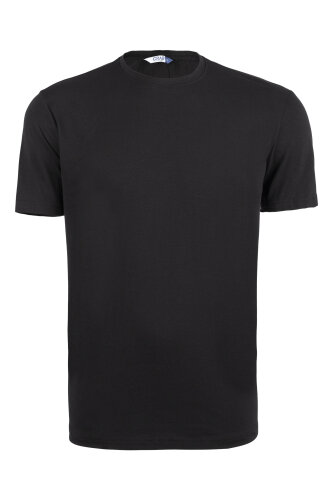 Outdoor T-shirt Günlük Pamuklu Basic Erkek TIBASE01 - 6